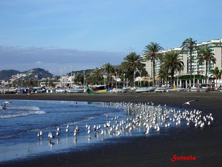 Apartamento El Bambu Cerca Del Mar 말라가 외부 사진